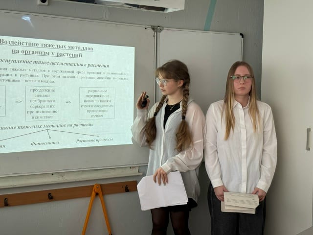 Проектно-исследовательская работа