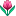 🌷