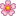 🌸
